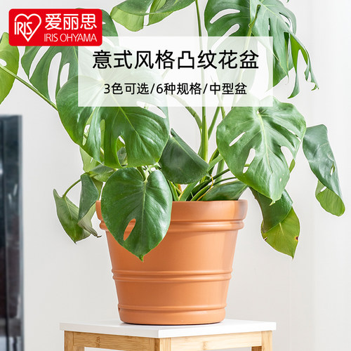 爱丽思大号塑料花盆庭院大口径仿陶瓷特大号落地庭院种树盆 - 图0