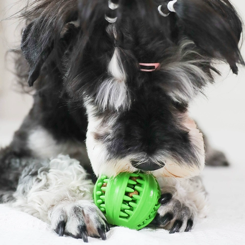 Yitter утечет шарики, измельчение зубов, чистые зубы, скрытие затмений. Обучение собак в одиночестве, чтобы облегчить душную, медленную пищу, взаимодействующие игрушки