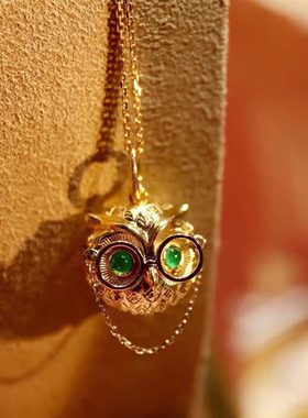 气质高级感动物博士猫头鹰项链女ins欧美锁骨链轻奢气质百搭颈饰