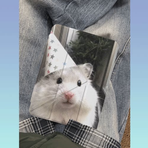 原创可爱彩帽仓鼠iPad2025新款11代苹果Air7防弯Y折ipad壳三折第9代平板壳11寸Pro亚克力适用mini7带笔槽 - 图3