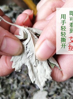 野生艾草整颗带杆带叶老艾草