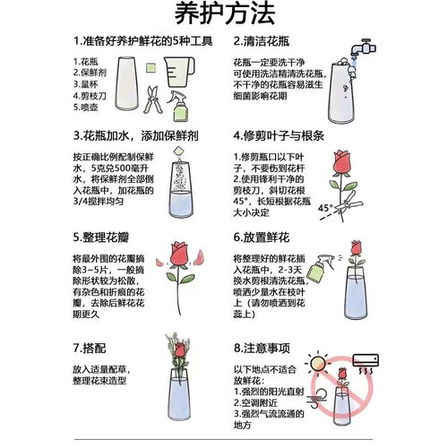 鲜花保鲜剂进口花之隆保鲜液营养液家用花店保鲜延长剂小袋装 - 图0