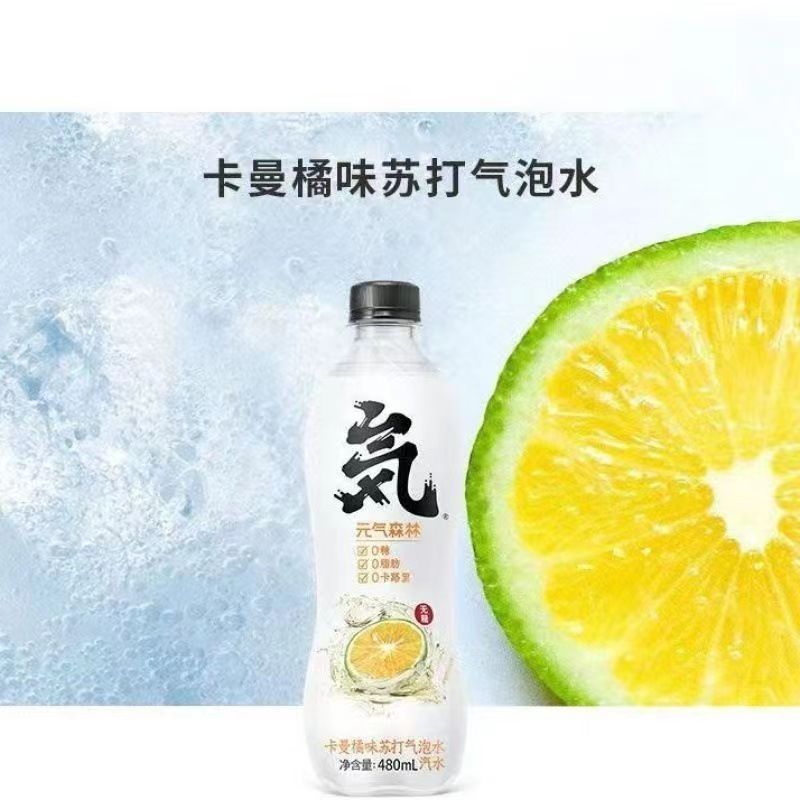 元气森林气泡水 480ml*15瓶多口味 - 图1