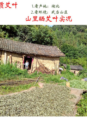 艾草洗浴发汗艾叶做枕头