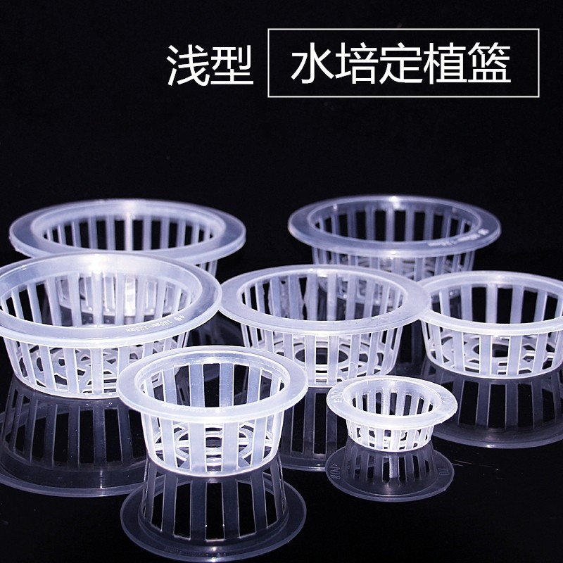 植物定植篮水培植物玻璃花瓶花盆绿萝定植篮水培花卉浅型固根器,淘宝优惠券,粉丝福利购,淘宝优惠卷