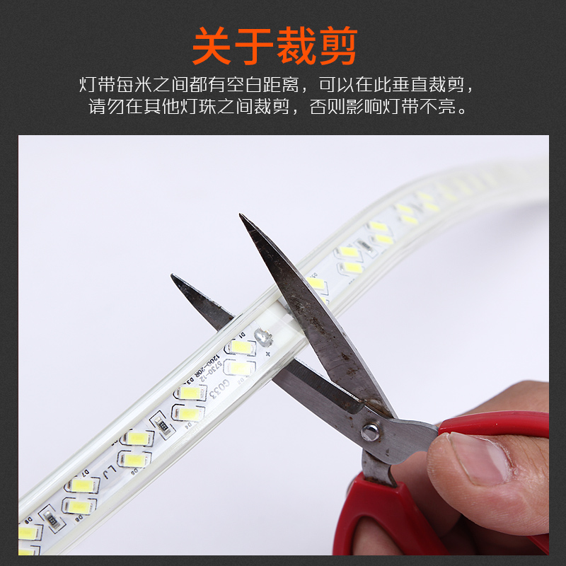 led灯带家用超亮灯条双排线灯蓝色灯光客厅卧室吊顶防水光带220V - 图1