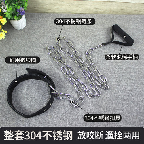 304不锈钢狗链子大型犬中型犬铁链项圈防咬栓狗绳小型犬牵引绳 - 图2
