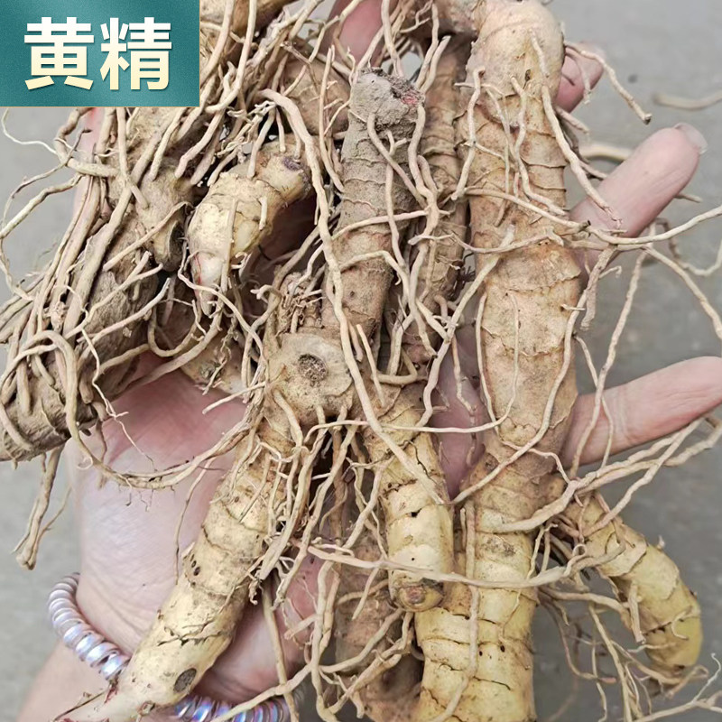 中草药苗大全根茎植物苗麦冬草苗桔梗花苗牡丹芍药月季石菖蒲苗