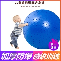 Large Dragon Ball Childrens Sensation Training Thickened explosion-proof Fitness Ball Special Big Baby Early to teach Tactile Clapping Yoga Ball