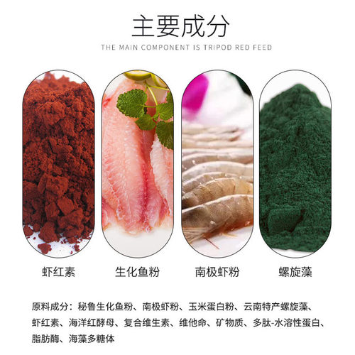 超鼎极红血鹦鹉鱼饲料鱼食罗汉招财地图鱼鱼粮增红增艳不浑水鱼料 - 图1