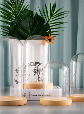 手办防尘罩摆件装饰品礼物永生花