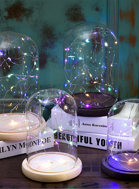 永生花带灯玻璃罩球形防尘罩展示盒火树银花小夜灯摆件工艺品