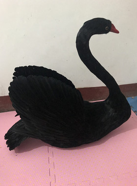 室内影视拍摄道具花艺黑色摆件