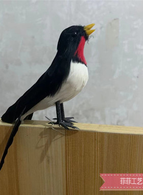 仿真羽毛燕子模型园林装饰摆件羽毛摄影道具马来金丝燕道具