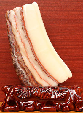 18*25*2cm1528g天然石材奇石摆件猪肉石五花肉桌面装饰雕刻石摆件