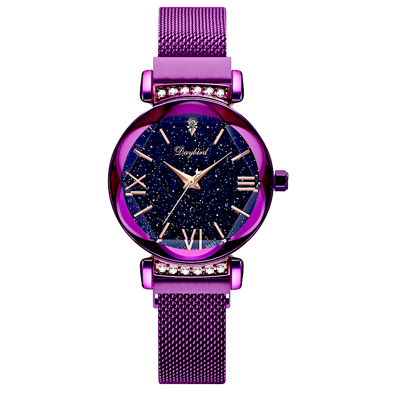 星空女士时尚简约气质学生ins手表 daybird得意鸟国产腕表