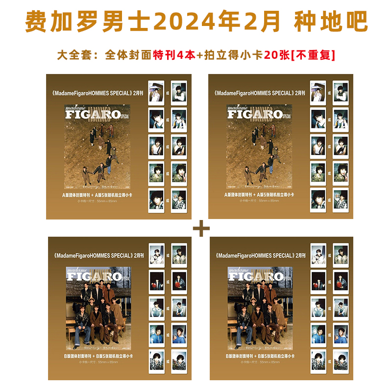 现货 费加罗3月夏之光A/B版封面+赠6张官方珍藏版小卡 费加罗FigaroMode杂志2024年3/三月夏之光/2月十个勤天种地吧/3月赵露思封面 - 图2