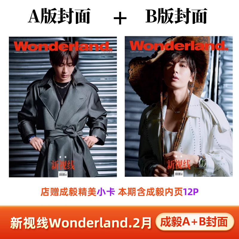 官方版 新视线2月 成毅A/B封面+赠珍藏版明信片2张   计入销量 Wonderland/睿士ELLEMEN/世界时装之苑ELLE6月杂志2024年1/2月 - 图2