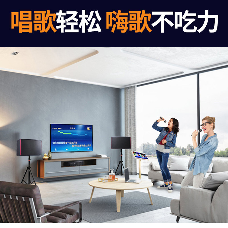 家庭ktv套装家用卡拉ok k歌点歌机 粤淘电器KTV/卡拉OK音箱