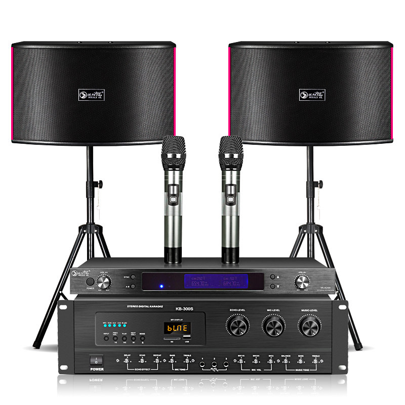 家庭ktv套装家用卡拉ok k歌点歌机 粤淘电器KTV/卡拉OK音箱