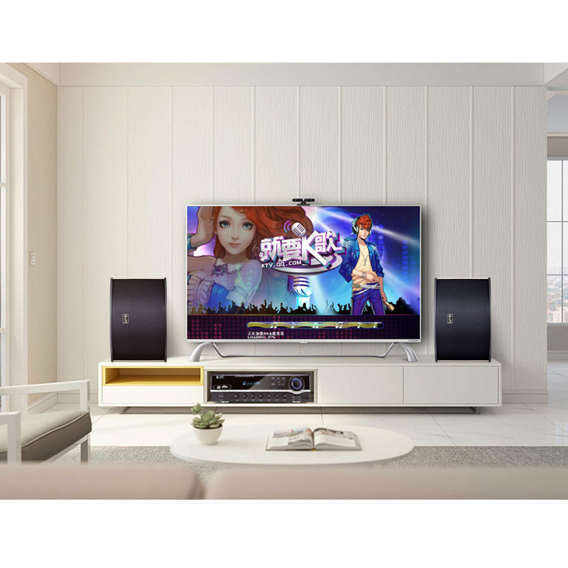  粤淘电器KTV/卡拉OK音箱