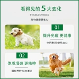 Зверь искренний Duki Clear Dog Cat Pet Anti -Virus anty -Virus anty -Kangzai Immunity Hold Coush