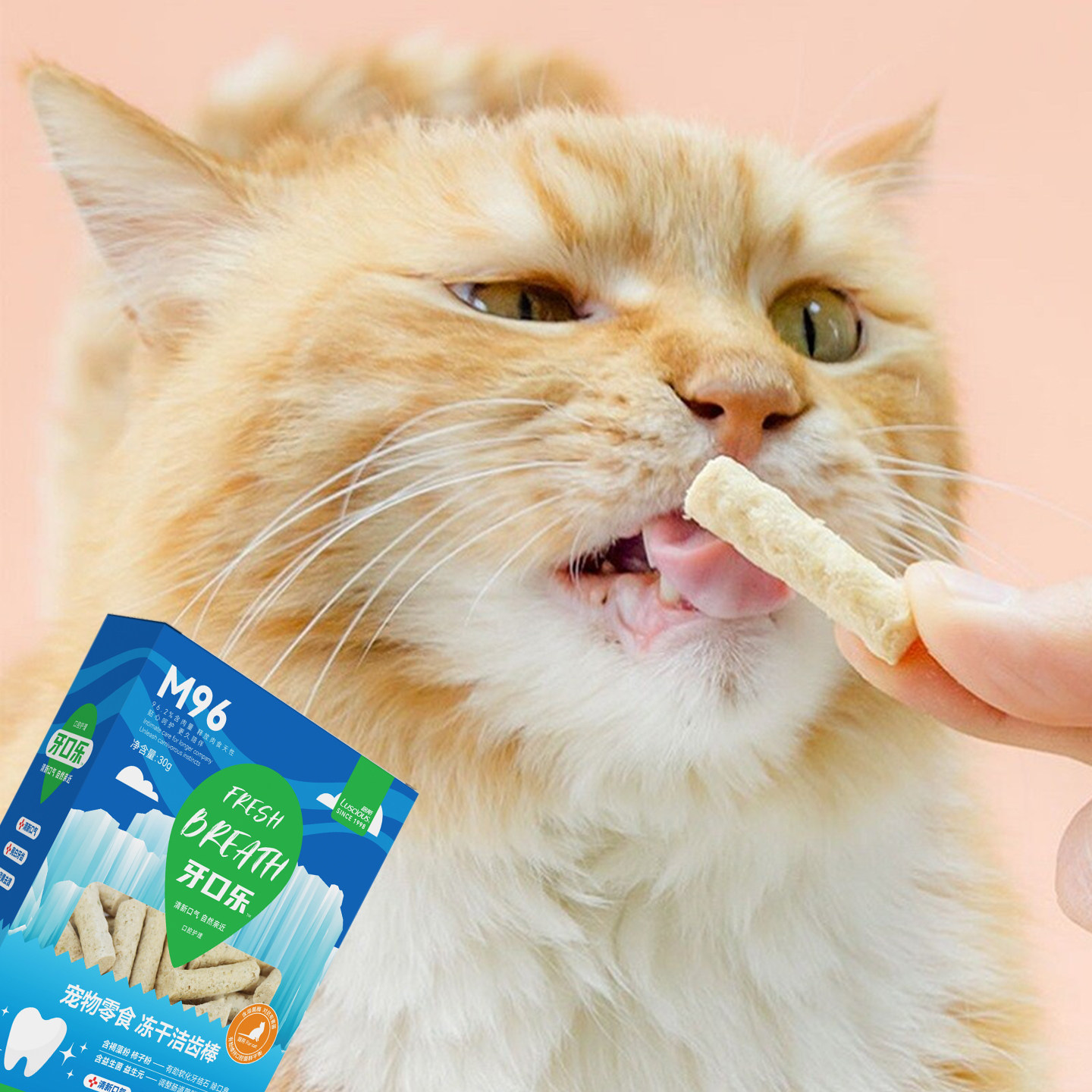 路斯猫咪零食鸡肉冻干猫草粒洁齿棒牙口乐促排毛球幼猫磨牙棒30g,淘宝优惠券,粉丝福利购,淘宝优惠卷