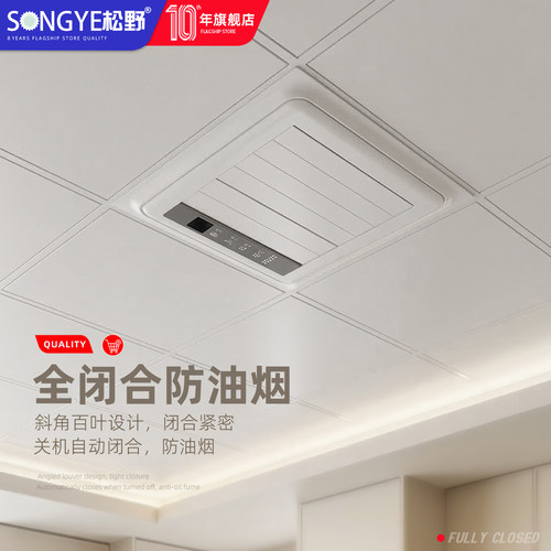 松野厨房凉霸家用吸顶集成石膏吊顶卫生间厕所冷风扇调速冷霸空调 - 图0