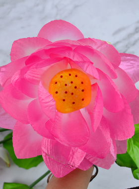 仿真荷花绢花睡莲莲花鱼缸供佛