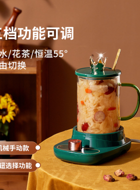 养生杯mini电炖杯办公室迷你壶