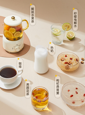 小型办公室养生杯一人电炖杯煮茶