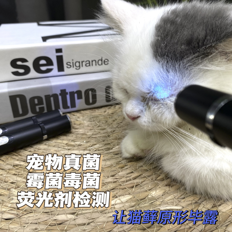 伍德氏猫藓灯猫尿照猫癣灯逗猫激笔光红外线逗猫咪玩具解闷神器-图0