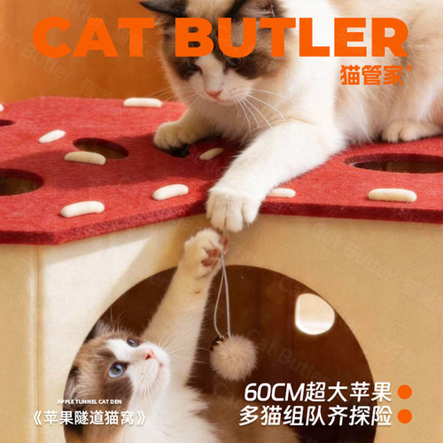 苹果猫窝毛毡猫窝隧道迷宫钻洞猫咪躲避屋封闭安全感猫窝宠物猫窝 - 图0