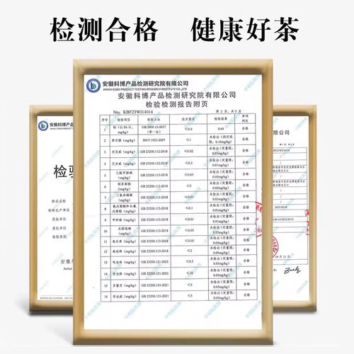 霍将军桐城小花A3A4袋装2026新茶正宗雨前龙眠山高山绿茶叶250g - 图2