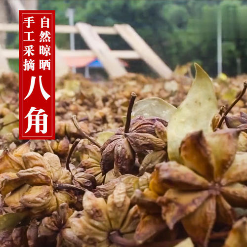 新货八角500g大红八角大茴香干货大料茴香香料调料 卤料 香料大全 - 图2