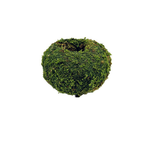 日式苔玉苔藓球 苔藓花器 青苔创意石斛种植盆 园艺盆栽 家居装饰 - 图3