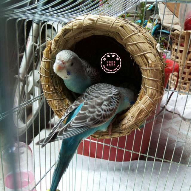 Free shipping bird's nest, woven straw bird's nest, warm