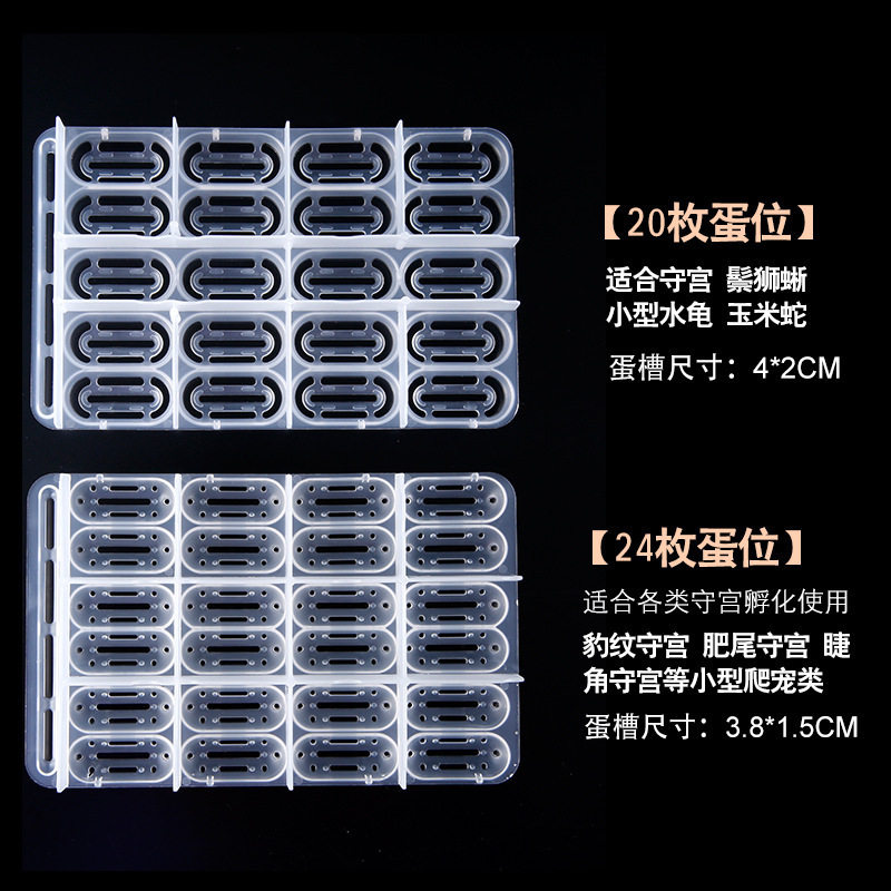 明蛛爬宠孵化盒20蛋位爬虫守宫鬃狮宠物蛇乌龟孵蛋孵化蛋托孵化箱,淘宝优惠券,粉丝福利购,淘宝优惠卷