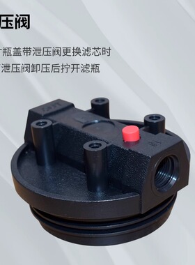 沁涌泉20寸前置过滤器蓝瓶