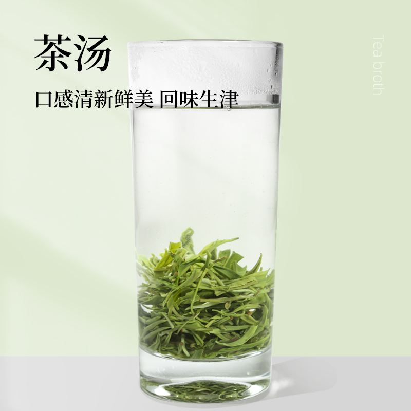 湘丰茶叶绿茶2024新茶浓香型明前金井茗茶精品绿茶50g*2包 - 图0