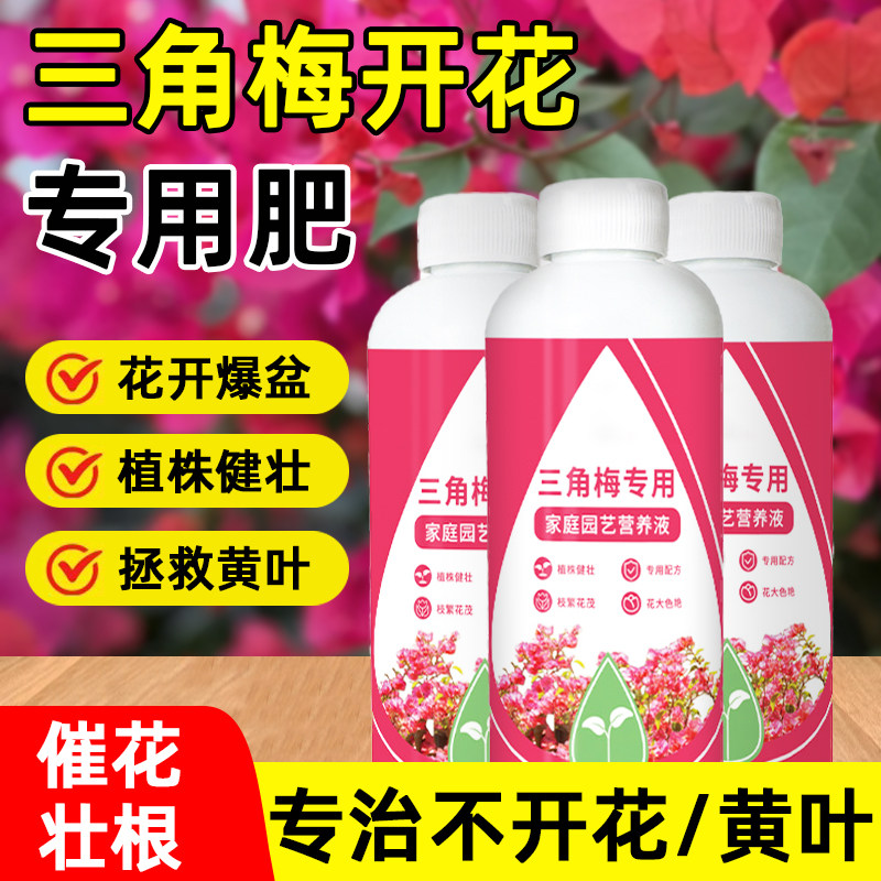 三角梅速效开花素免稀释促茶花开花卉专用肥植物营养液通用催花素,淘宝优惠券,粉丝福利购,淘宝优惠卷