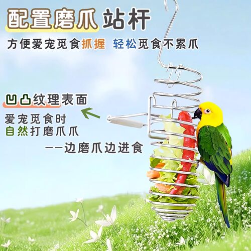 鸟类喂食器不锈钢水果蔬菜篮悬挂式玩具鹦鹉投喂神器鸟笼配件用品 - 图3