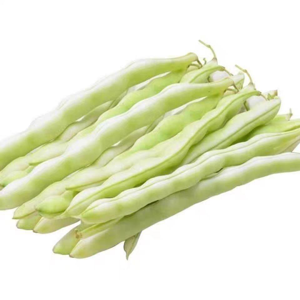 五莲芸豆角新鲜四季豆白豆角扁豆5斤包邮老来少山东豆角现摘蔬菜,淘宝优惠券,粉丝福利购,淘宝优惠卷