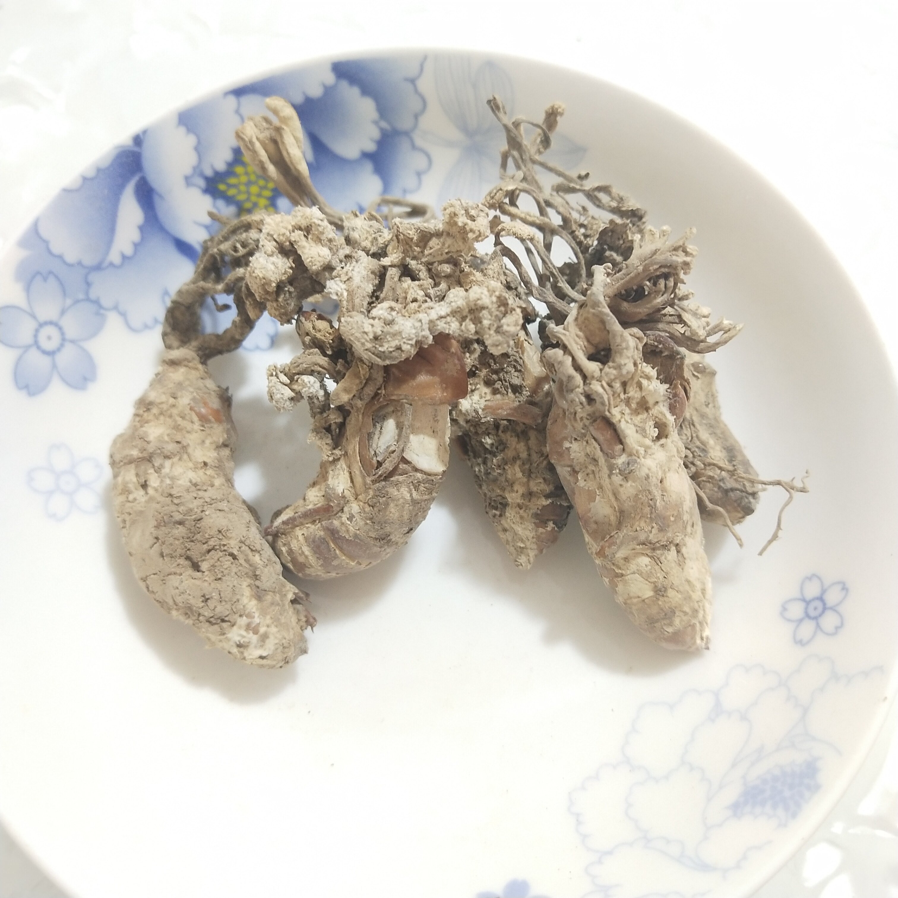 金蝉花中药材 蝉花 500克特级正品 蝉蛹花 新货 虫花 蝉蛹草