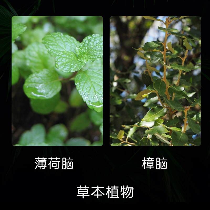 风油精滚珠型防蚊驱蚊清凉油提神棒蚊虫叮咬户外露营旅行方便携带_德福堂医药_户外/登山/野营/旅行用品-第1张图片-提都小院