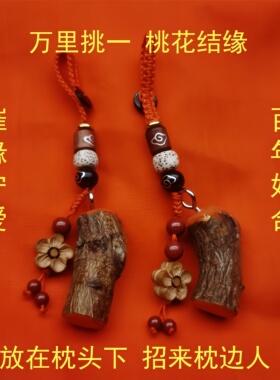 野生桃木东南枝桃花花瓣