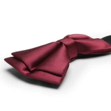 Цветная галстук-бабочка, бордовые красные свадебные туфли, рубашка с бантиком, платье