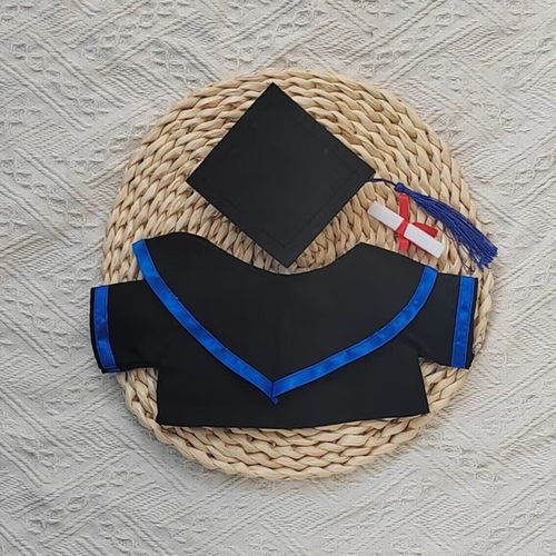 泰迪熊公仔毕业袍布娃娃玩偶学士服博士硕士服娃衣小熊毕业熊衣服 - 图3