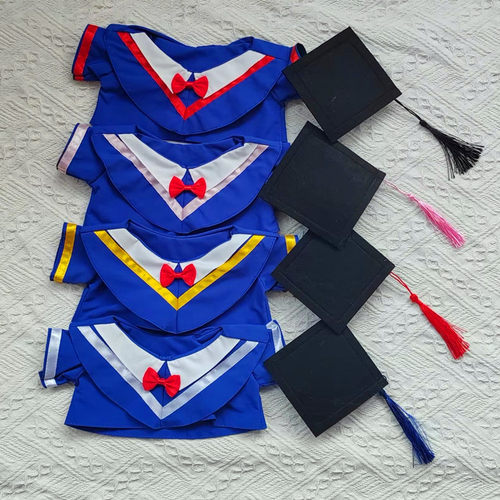 泰迪熊公仔毕业袍布娃娃玩偶学士服博士硕士服娃衣小熊毕业熊衣服 - 图1