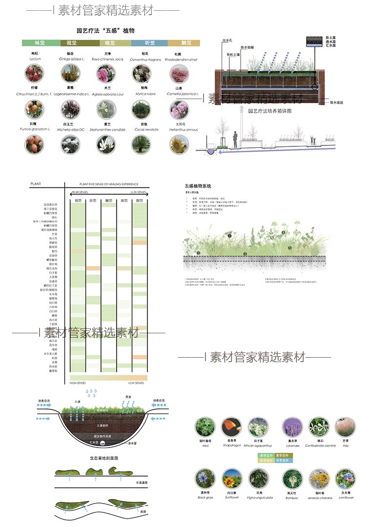 竞赛风植物配景前期分析景观园林设计策略植物植被PS文件PSD分层 - 图1